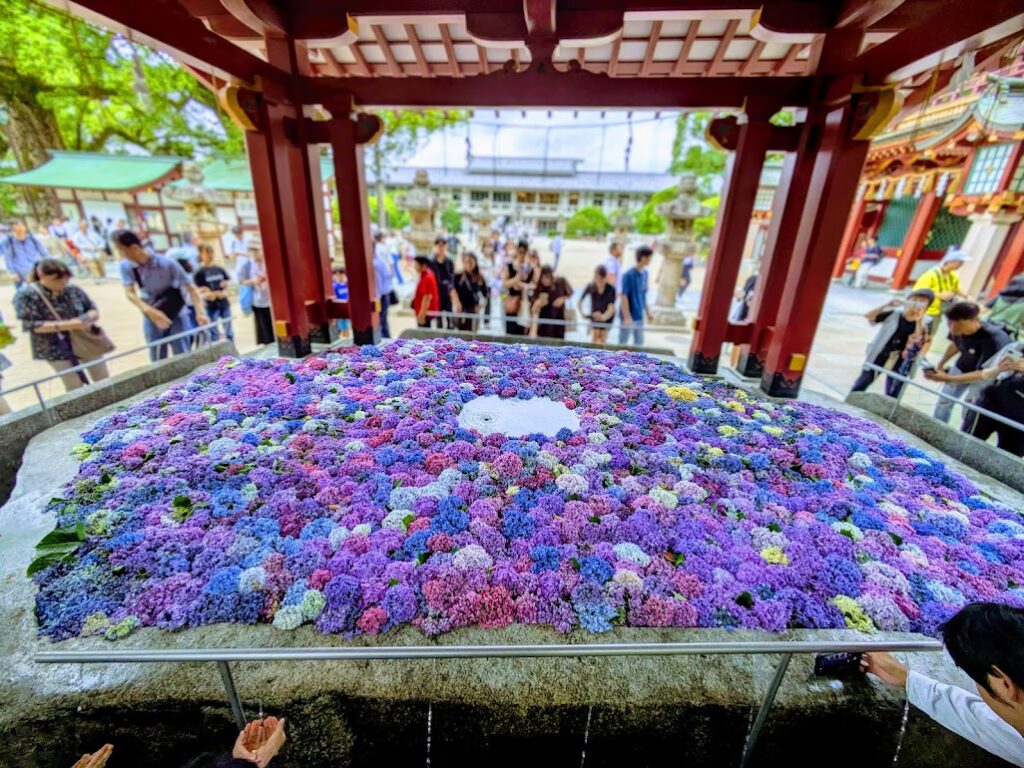 太宰府天満宮（福岡県）の花手水