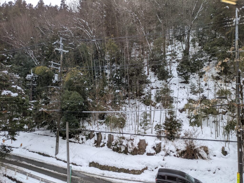 叡山電鉄車窓からの雪景色