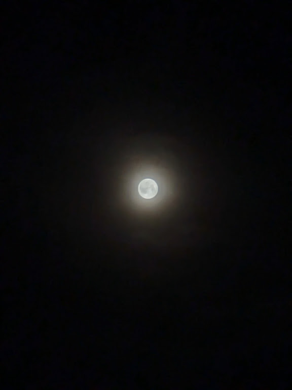 満月